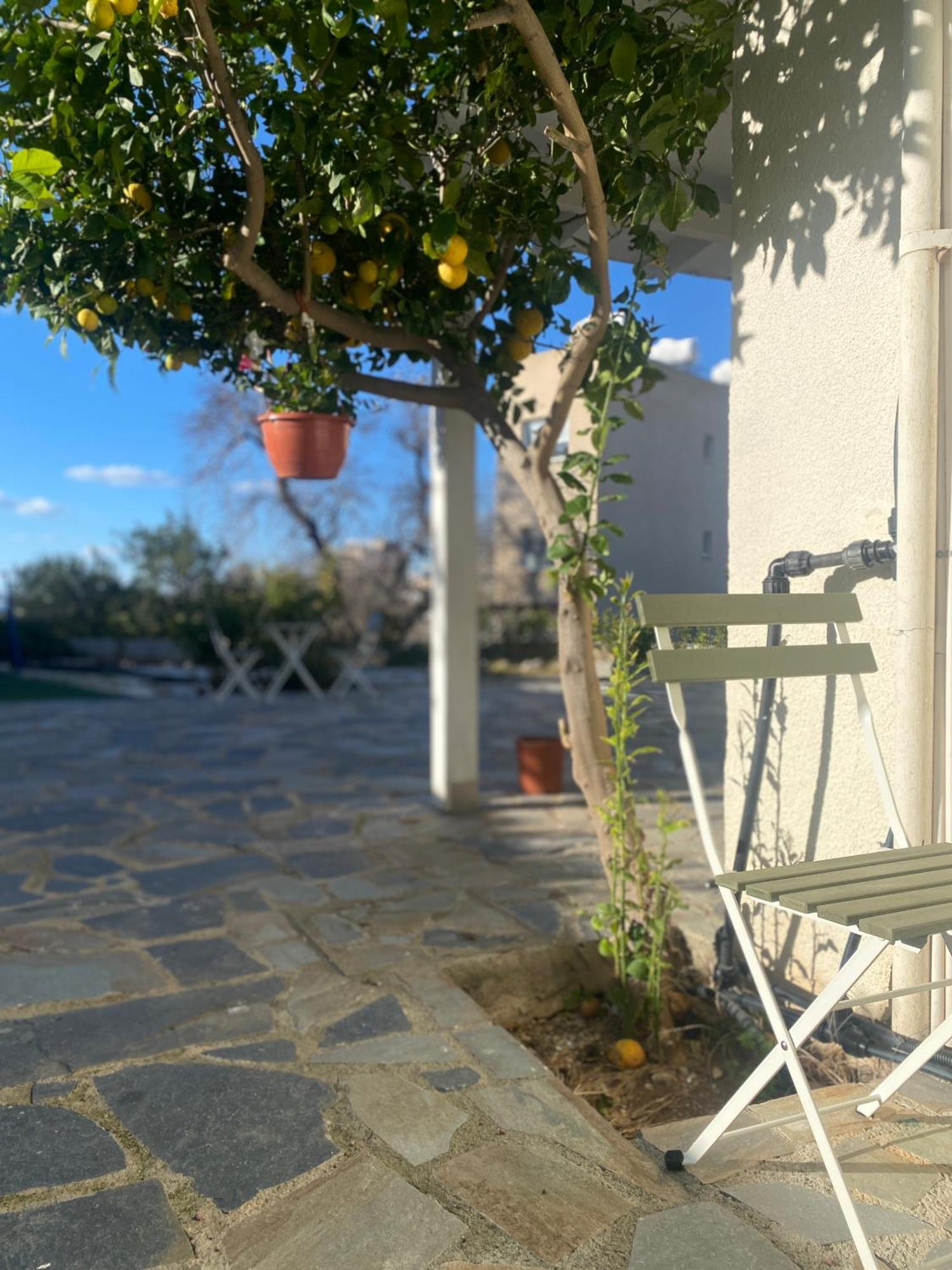Hostl - Beds & - The Paphos, Old Town * Paphos