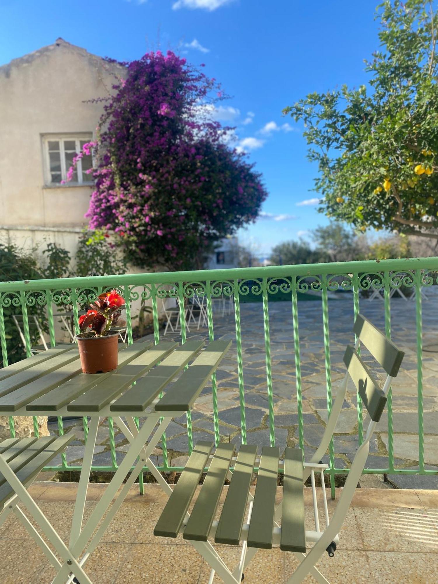 Hostl - Beds & - The Paphos, Old Town * Paphos